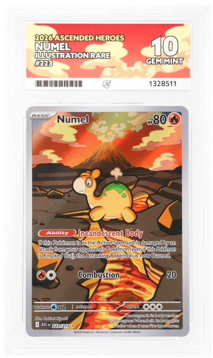 Numel - 223/217 - Ascended Heroes - Illustration Rare - Ace 10