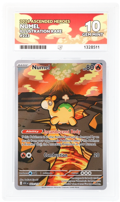 Numel - 223/217 - Ascended Heroes - Illustration Rare - Ace 10