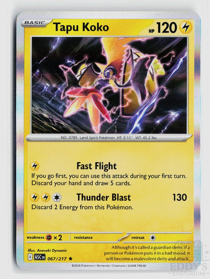 Tapu Koko 067/217 Ascended Heroes Pokemon Holo Rare NM