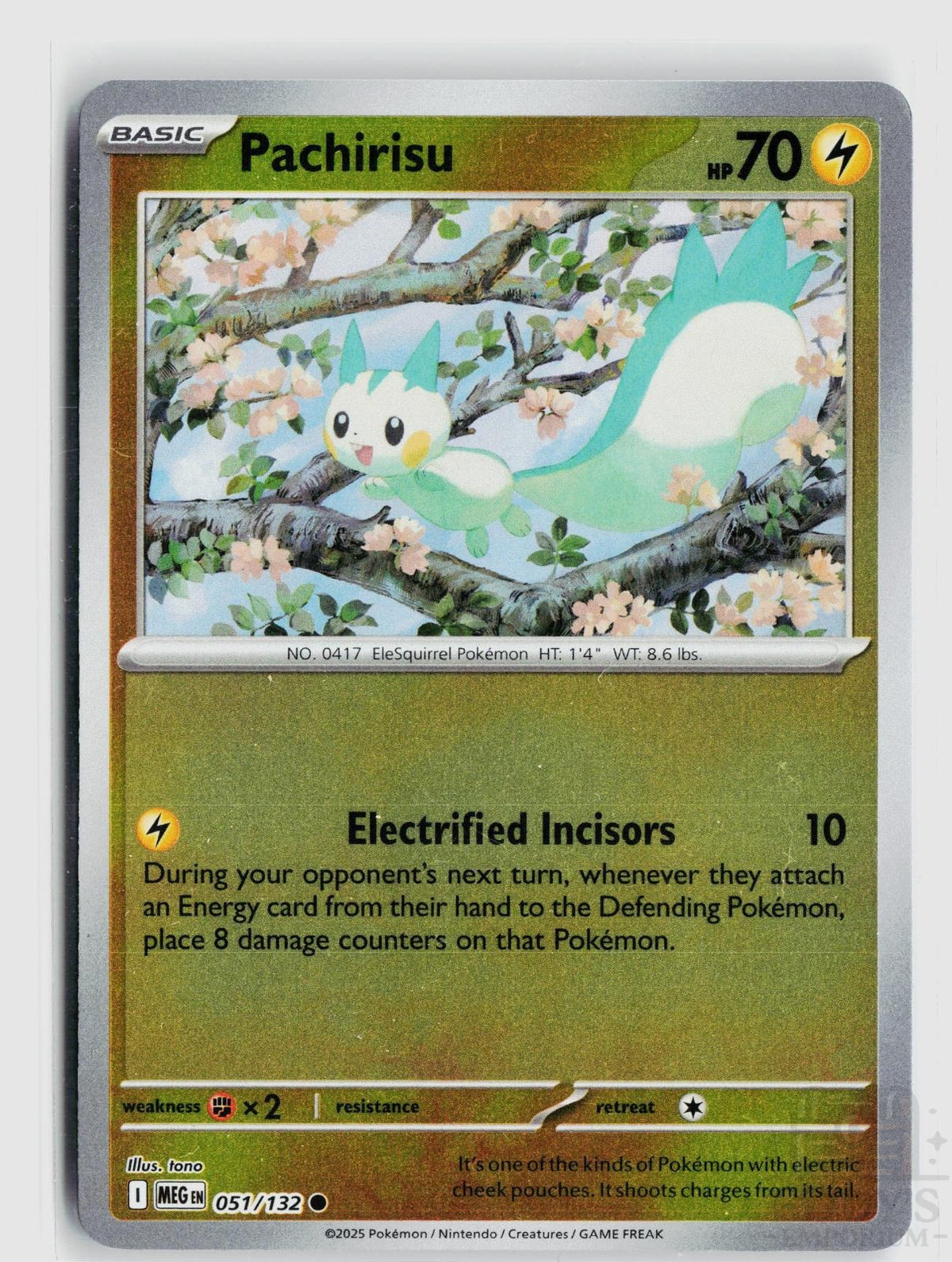 Pachirisu 051/132 Mega Evolution Pokemon Reverse Holo Common NM