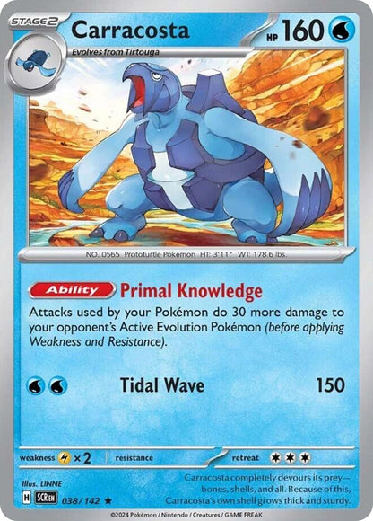 Carracosta 038/142 Stellar Crown Pokemon Holo Rare NM