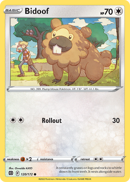 Bidoof 120/172 Brilliant Stars Pokemon Reverse Holo Common NM