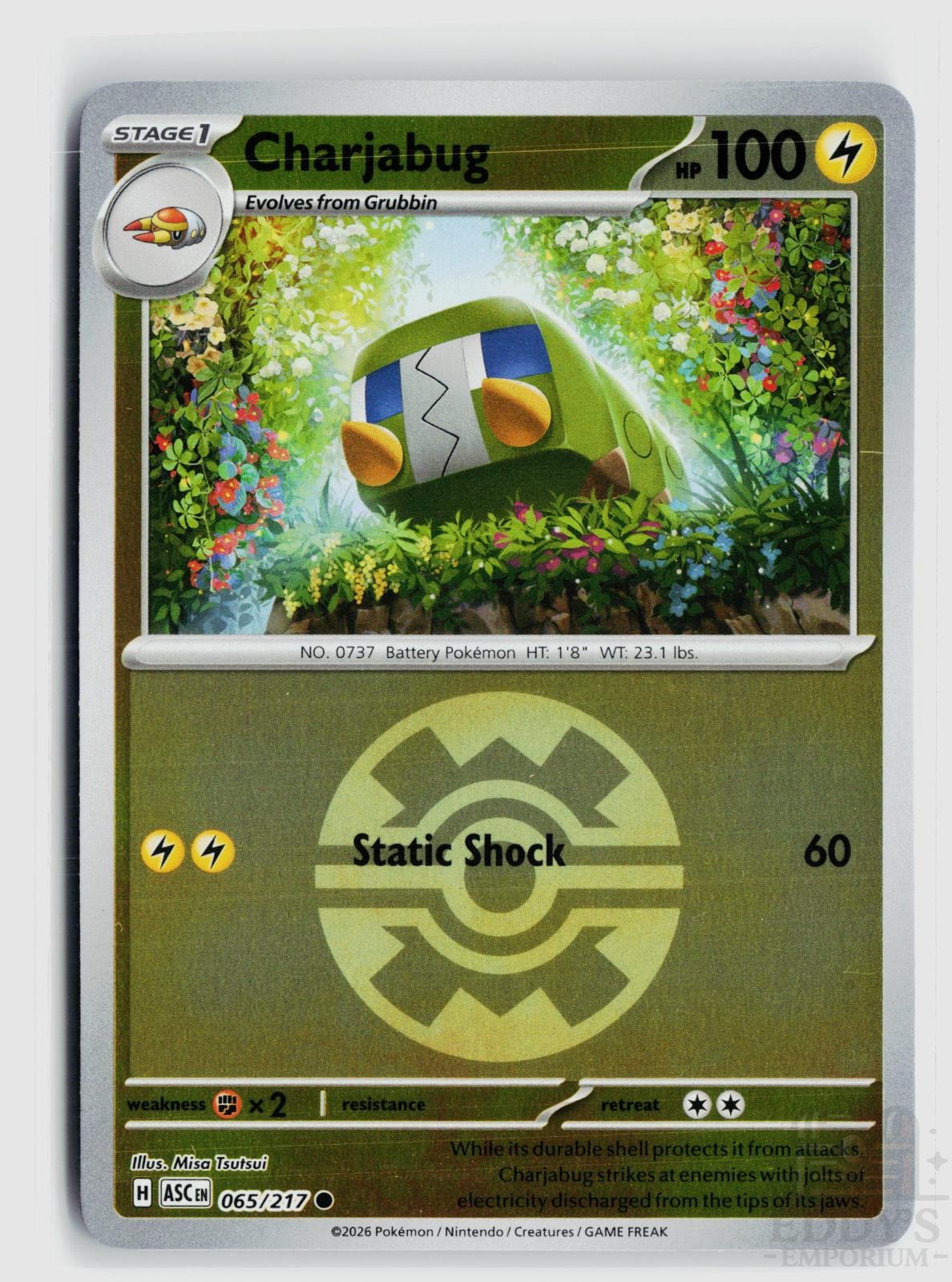 Charjabug (Quick Ball) 065/217 Ascended Heroes Pokemon Reverse Holo Common NM