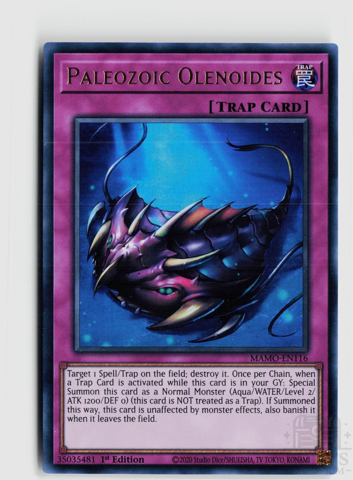 Paleozoic Olenoides MAMO-EN116 Magnificent Monsters Yu-Gi-Oh 1st Edition NM