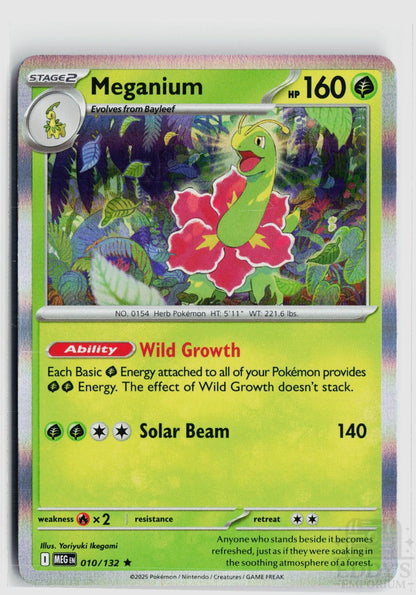 Meganium 010/132 Mega Evolution Pokemon Holo Rare NM