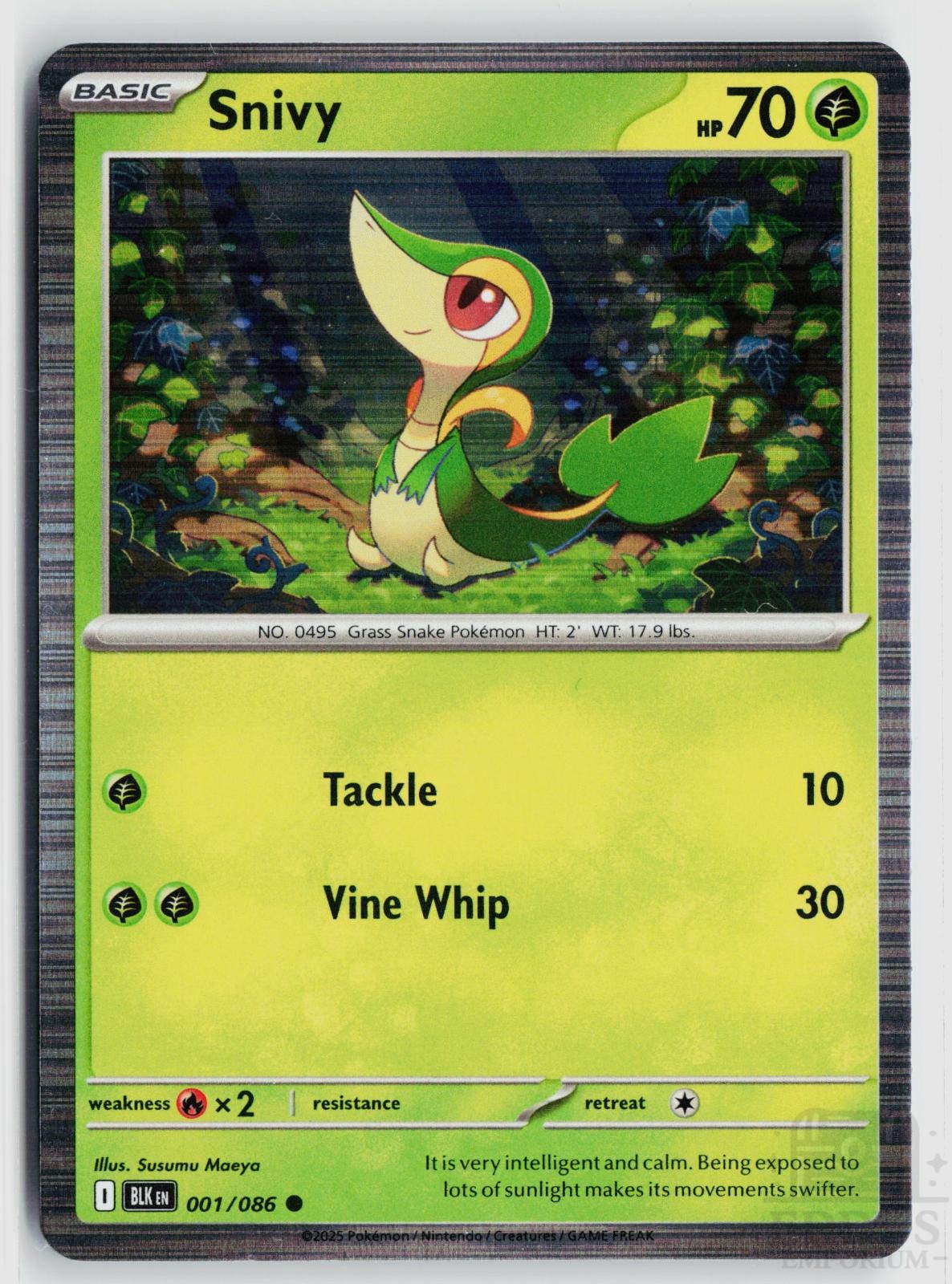 Snivy 001/086 Black Bolt Pokemon Holo Common NM