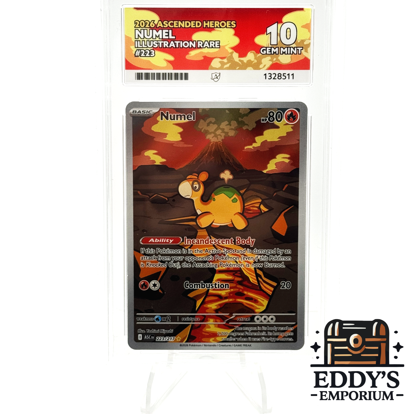 Numel - 223/217 - Ascended Heroes - Illustration Rare - Ace 10