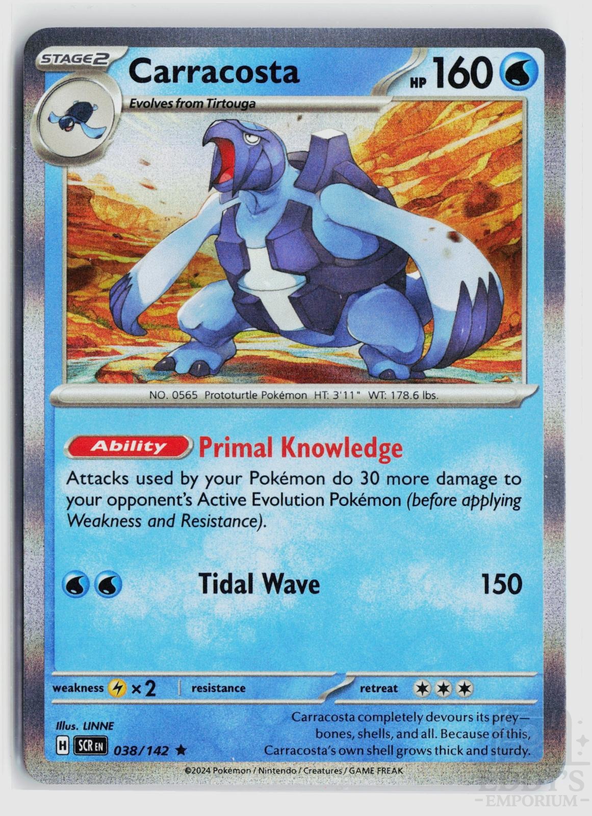 Carracosta 038/142 Stellar Crown Pokemon Holo Rare NM