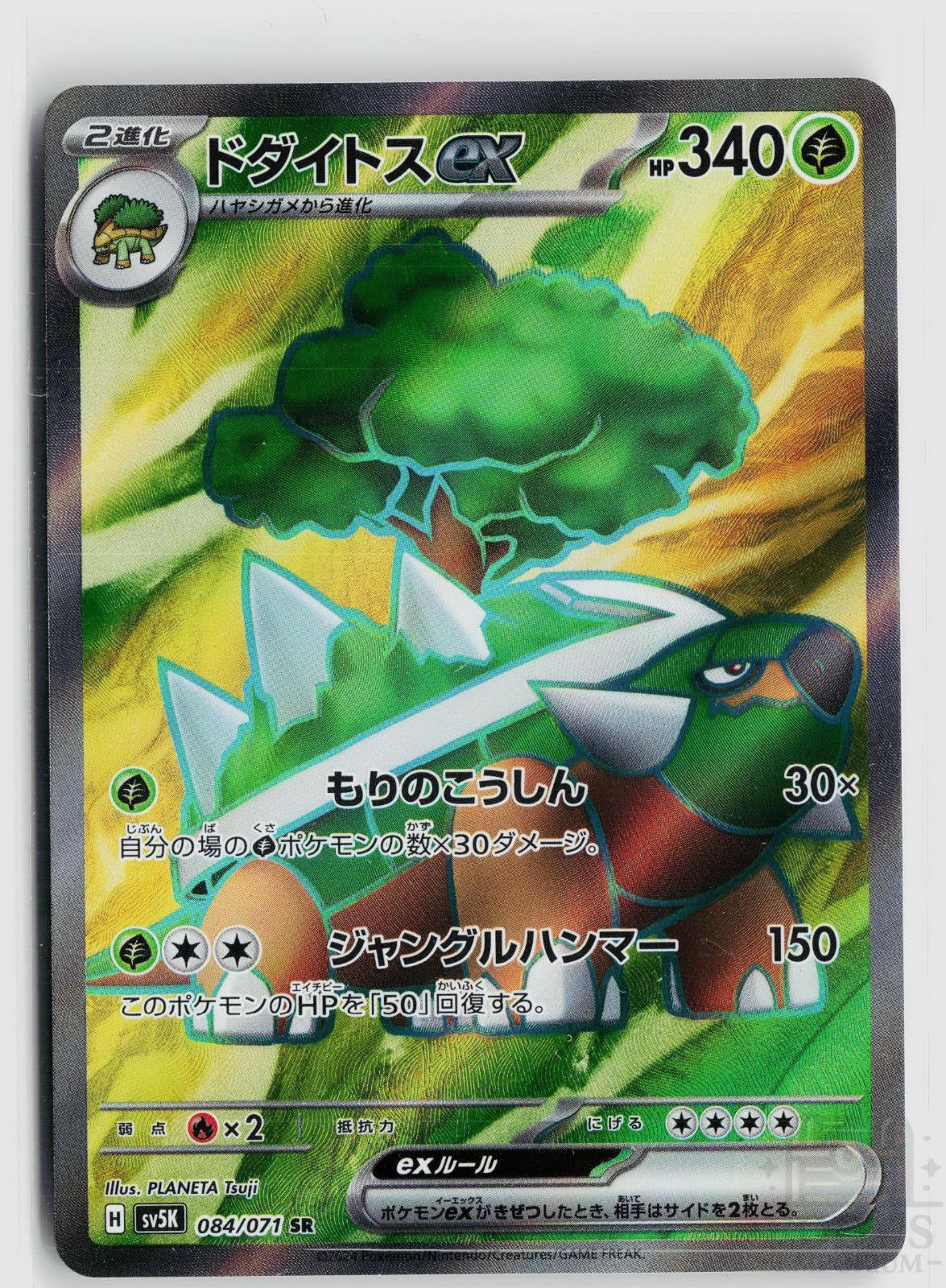 Torterra EX 084/071 Wild Force Pokemon Japanese Holo Super Rare