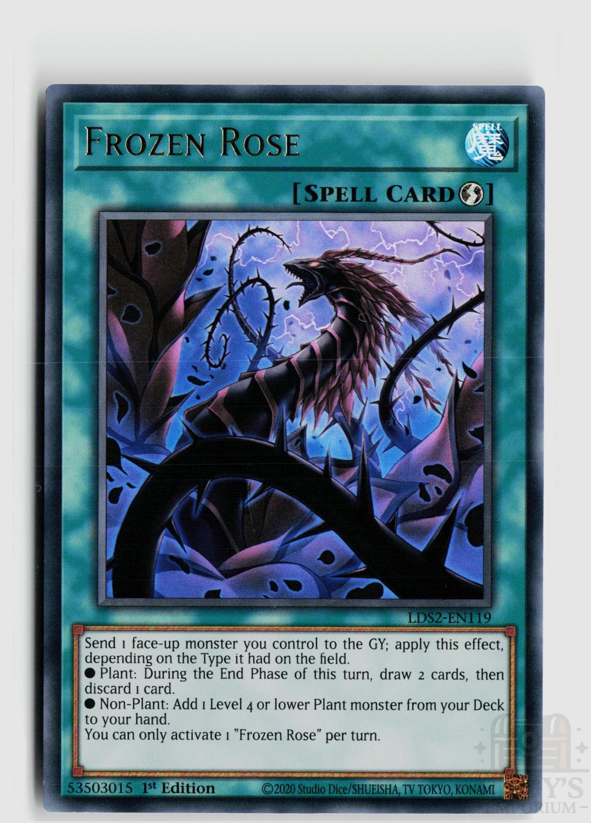 Frozen Rose LDS2-EN119 Legendary Duelists: Season 2 Yu-Gi-Oh 1st Edition NM